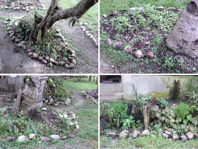Images of mature mini-gardens under trees