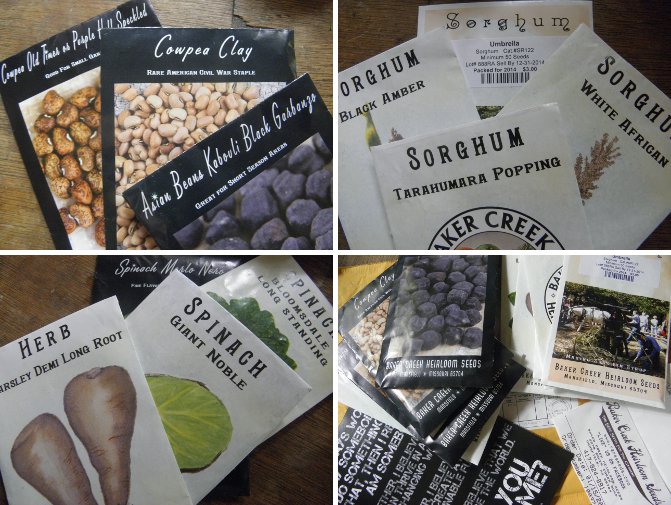 Imagesd of newly arrived seed packets