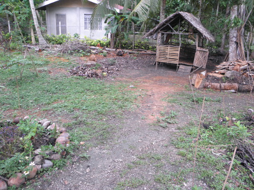 Image of Garden area before
        construction of animal pens