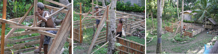 OImages of tropical garden pig pens
        under construction