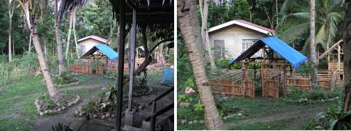 Images of pig pens in tropical garden