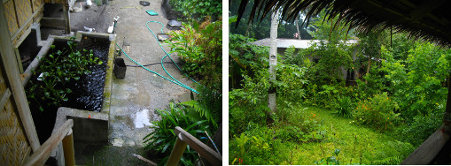 Images of tropical rain clearing uo