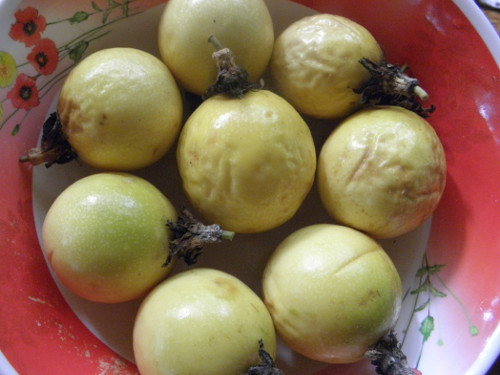 Image of a bowl of ripe passion fruit