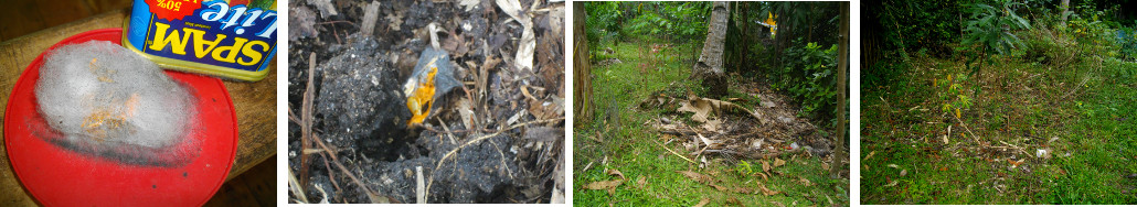 Images of mouldy squash seeds being planted