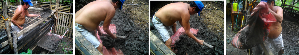 Images of man digging out rotting organic material from
        pig pen