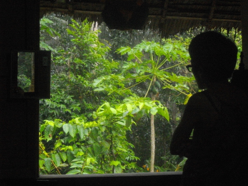 Image 0f woman looking out of window
        in tropical house