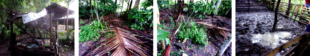 Images of effect of night rain in tropical backyard