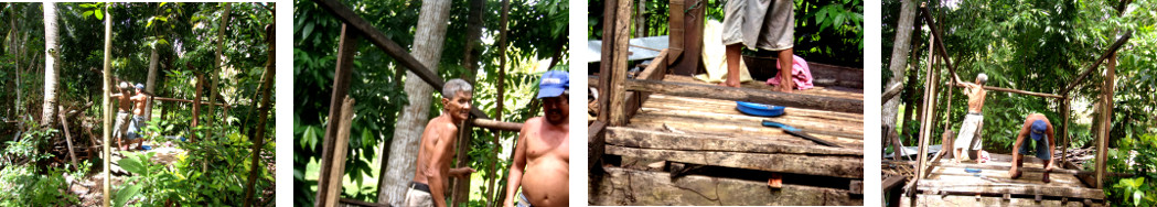 Images of men repairing a
        "Lendahan" for drying Copra