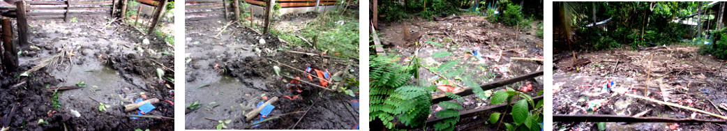 Images of area of demolished goat pen in tropical
        backyard