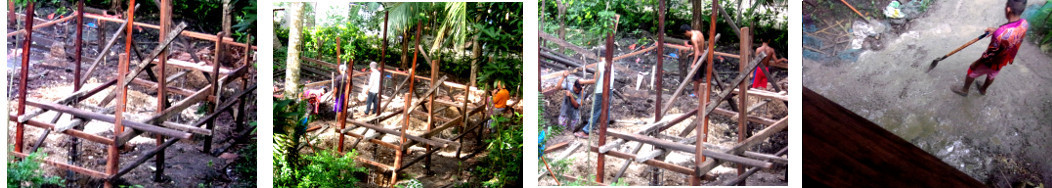 Images of construction of last
        tropical backyard pig pen