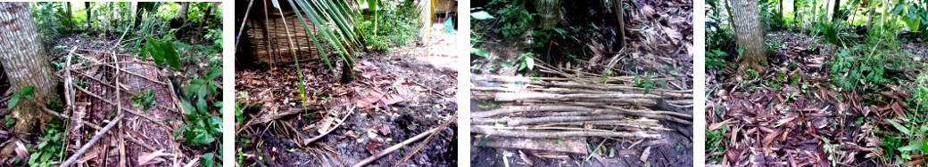 Images of tropical backyard clearing
        dumped nipa