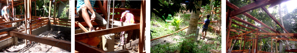 Images of construction of tropical backyard pigpen
