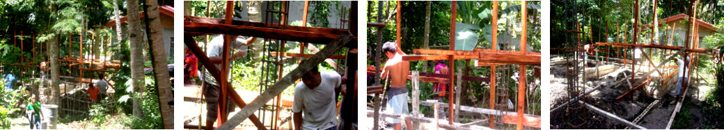 Images of men building a tropical
        backyard pig pen