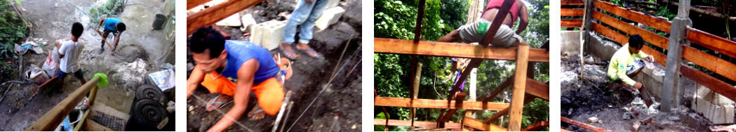 Images of tropical backyard pig pen under construction