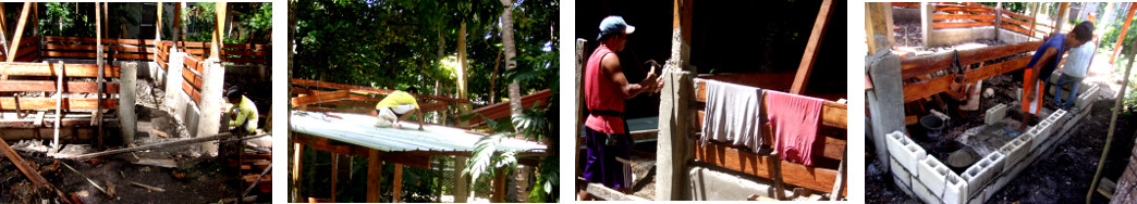 Images of tropical backyard pig pen under construction