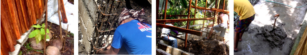 Images of men building a tropical backyard pig pen