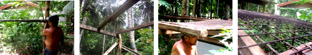 Images of building a frame for tropical backyard
        climbing plants