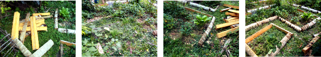 Imags of improvement to tropical
        backyard garden borders