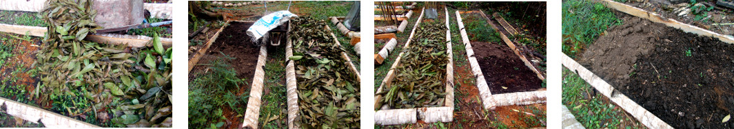Imags of leaves and compost dumped on
        tropical garden patches