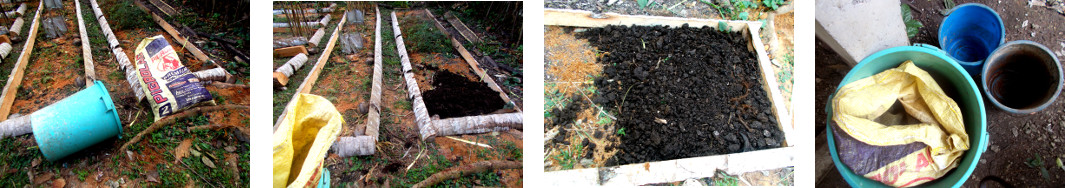 Images of soil from tropical backyard pig pen dumped on
        garden