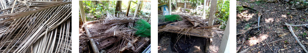 Images of collection of dry branches
        tidied up in tropical backyard