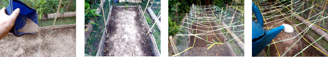 Images of tropical backyard fenced area being broadcast
        with seeds and then watered