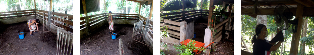 Images of tropical backyard pig pen
        being cleaned for reuse