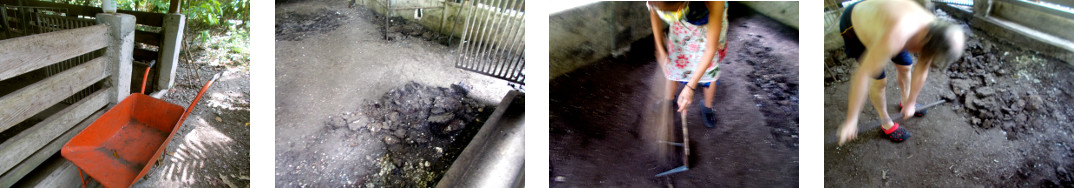Images of tropical pig pen being
            cleaned up before reuse