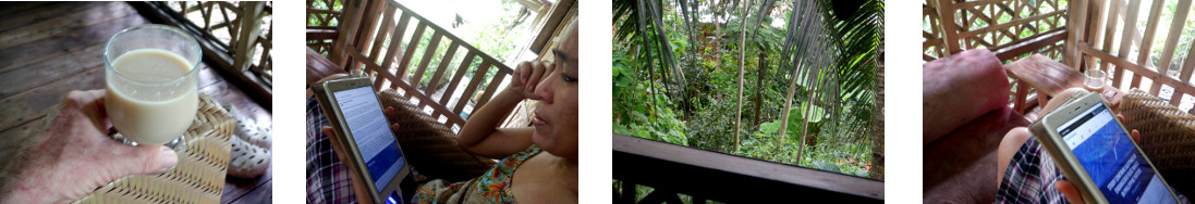 Images of relaxing on tropical
        balcony