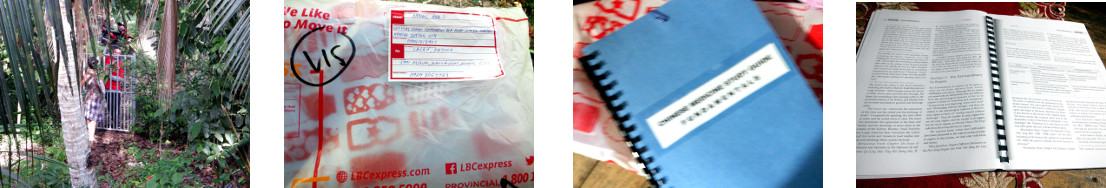 Image of book sent by courier
            service to tropical home