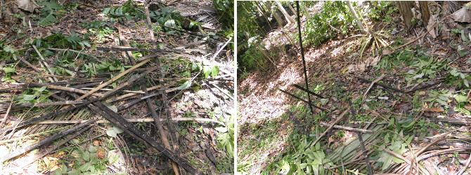 Images of broken climbing frames for beans, etc..