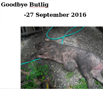 Visual link to "Goodbye Butlig" web page