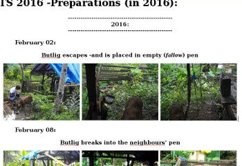 Visual link
          to "2016 Preparations" web page
