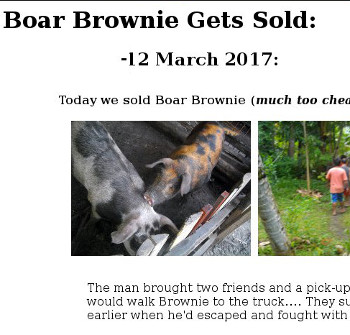 Visual
        link to web page on Boar Brownie