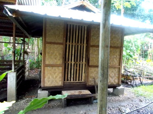 Image of extrernal tropical backyard
          kitchen