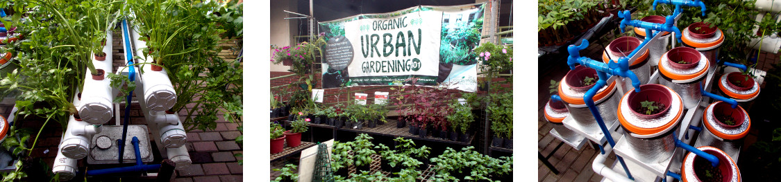 Images of an urban gardening center in Quezon City