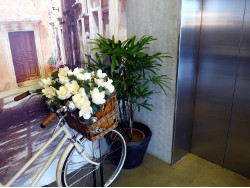 Image of decorative bicycle in hotel lobby