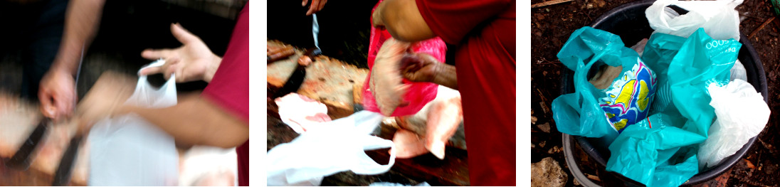 Images of clearing up after butchering a tropical
          backyard pig