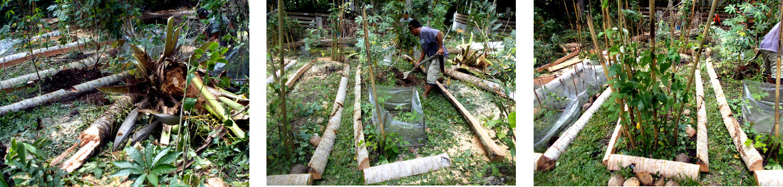 Imagws of men building garden borders in
                  tropical backyard from sawn up coconut logs