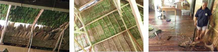 Images of final
        stages of repairing nipa roof