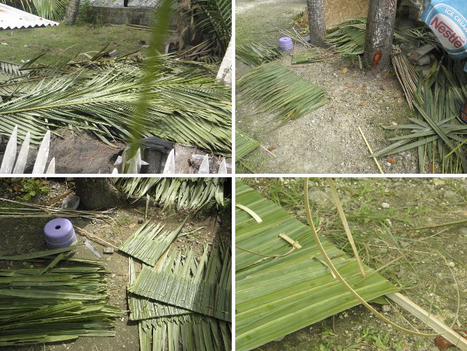 Images of Fronds
        and various stages of making a nipa panel