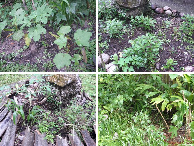 Images of four types of garden plots