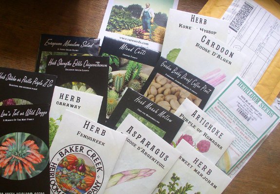 Photo of newly arrived heritage seeds