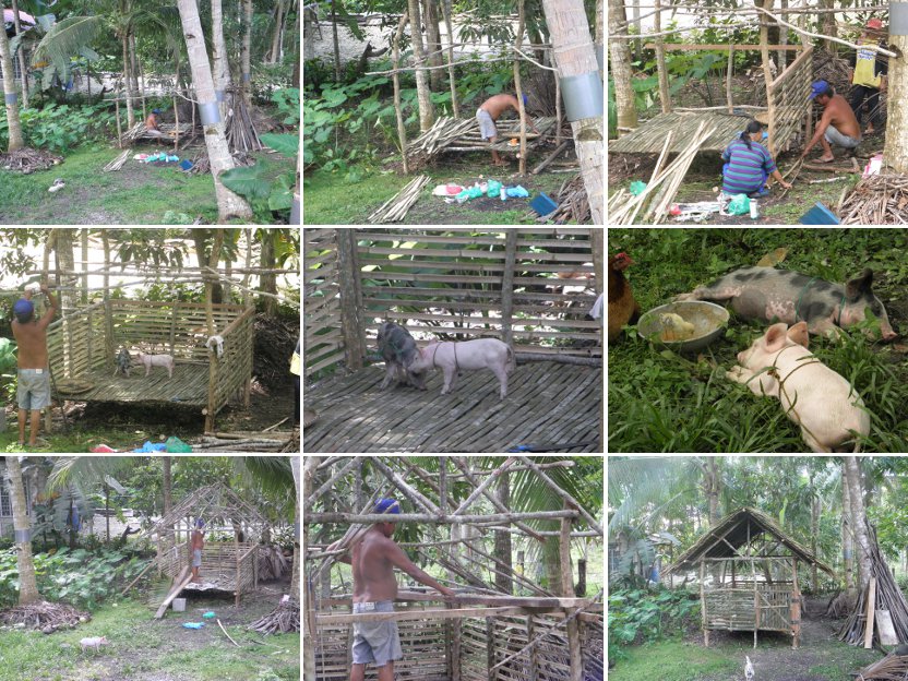 Images of a new goat pen being built