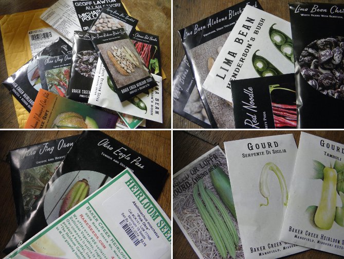 Images of newly
        arrived seed packets