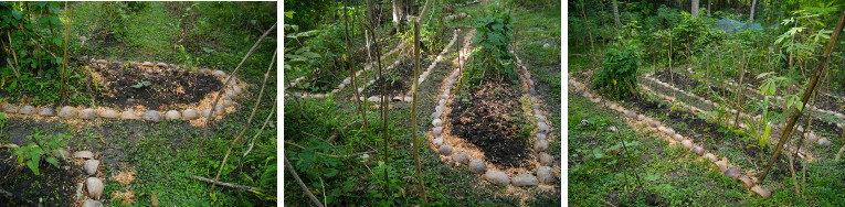 Image of completed water retention and
        conservation channel around tropical garden patch