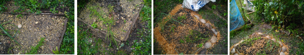 Images of improvements to developing
        Herb Garden