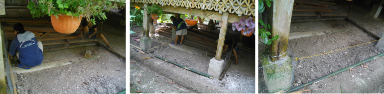 Images of women building a new duck
        pen under a house