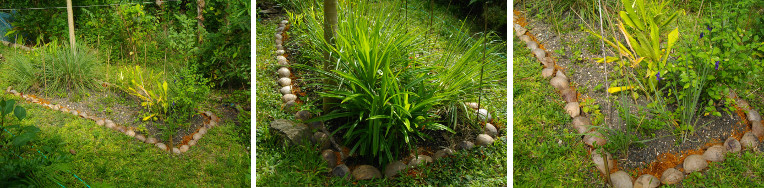 Images of Tropical Garden patch after renovation