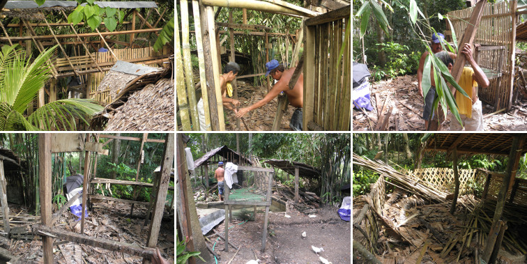 Images of Chicken house being
          demolished to build new pig pen